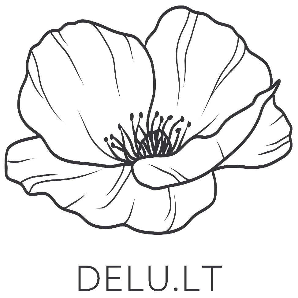 delu.lt